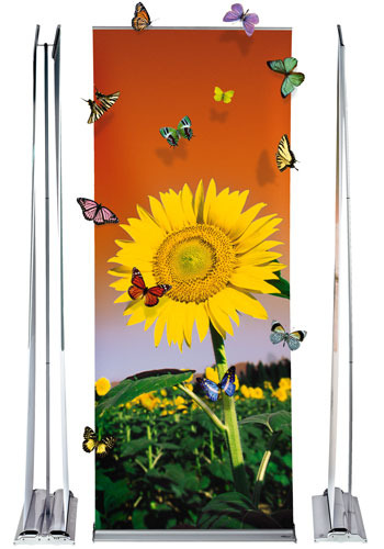 Roll Up Professional